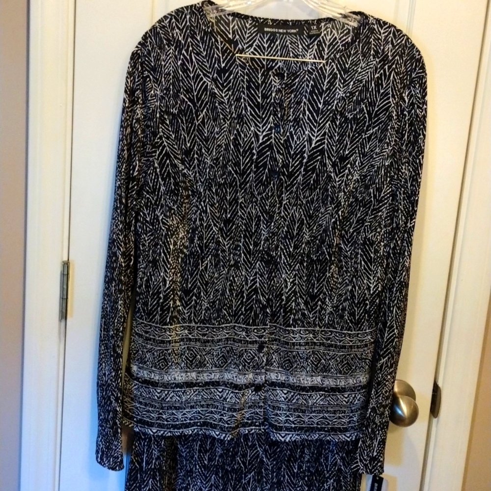 Briggs New York skirt set.
